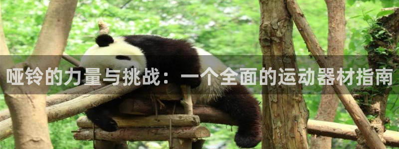 熊猫集团官网:哑铃的力量与挑战:一个全面的运动器材指南