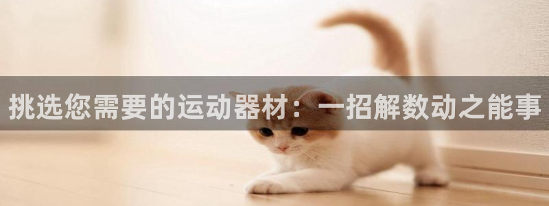 熊猫体育集团logo:挑选您需要的运动器材:一招解数动之能事